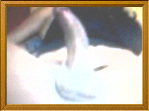 a la flavia como pasiva ni me yamen busquen otra travesti: 1569586417vvvvvvvvvvvvvvvvvvvvvvvvvvvvvv
